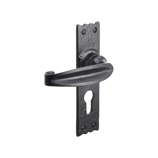 Charlbury Lever Euro Cylinder Handles