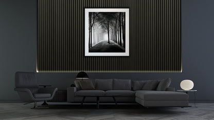 CINZA-IMAGE-NEW