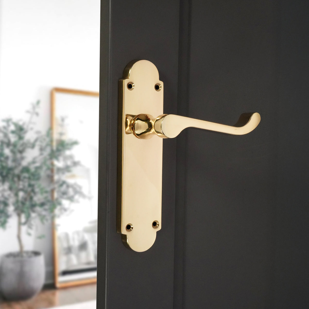 Oakley Lever on Backplate Latch Polished Brass