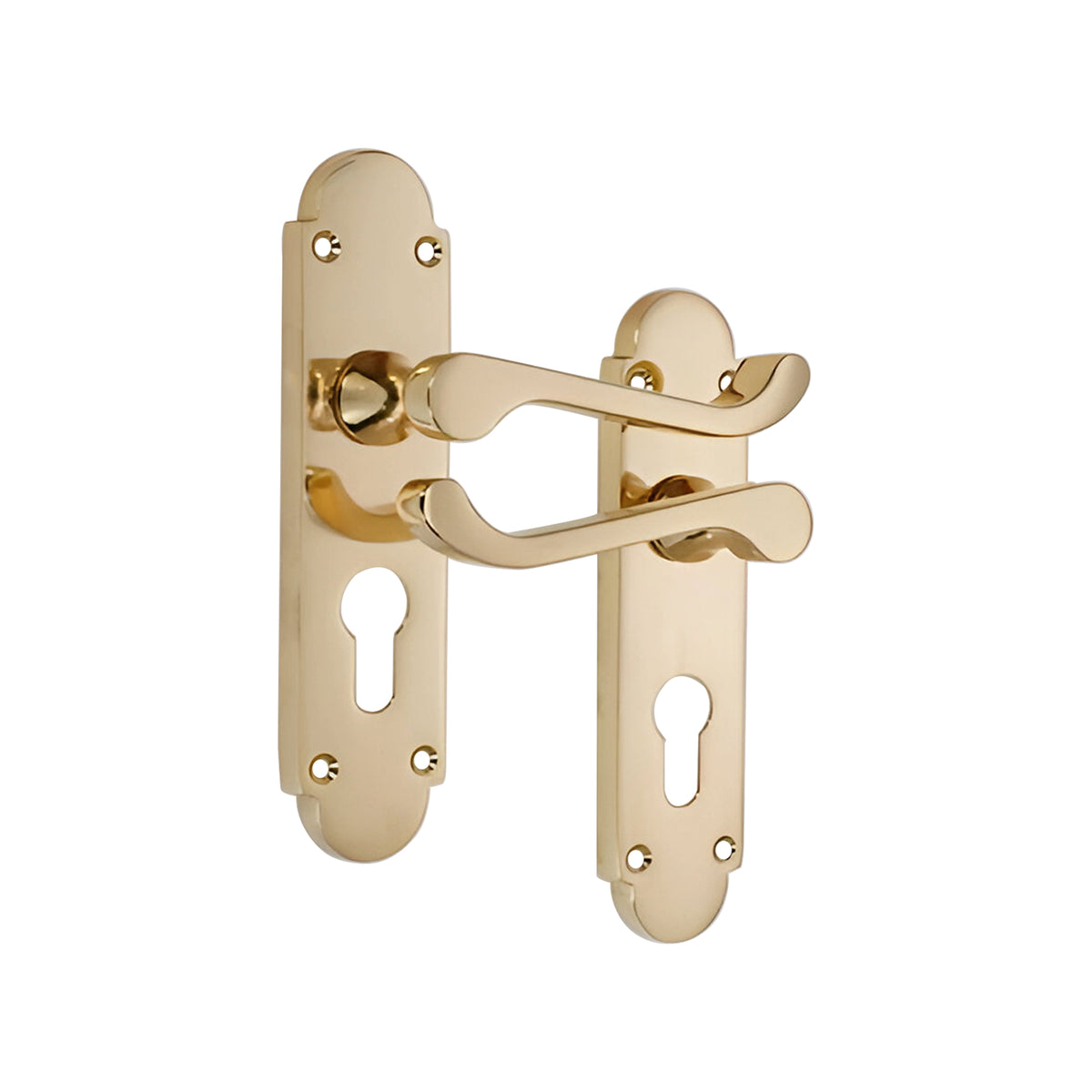 Oakley Lever on Backplate Euro Polished Brass